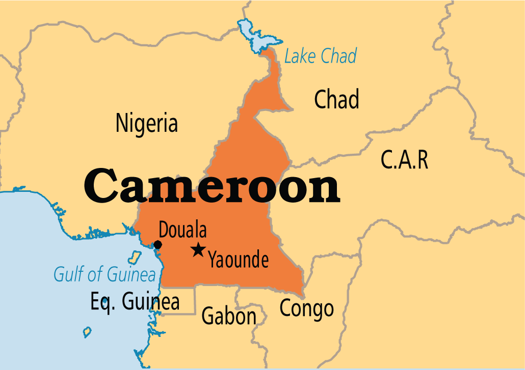 Image result for cameroon