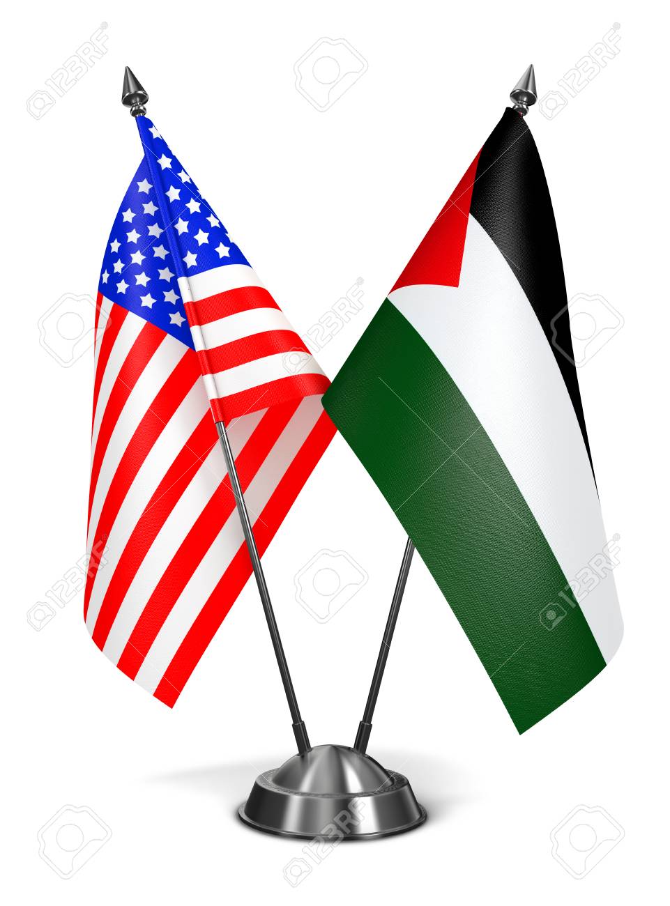 Image result for palestine usa