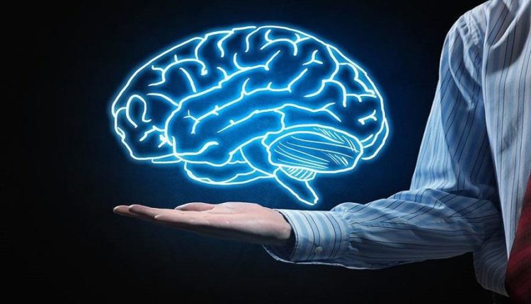 הוויטמינים שהמוח האנושי זקוק להם בכדי לפתח יכולות נפשיות