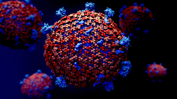 המטרה: החלבון שמאפשר לנגיף לחדור לתאים. איור של נגיף קורונה, ה-Spikes צבועים בכחול | מקור: Science Photo Library