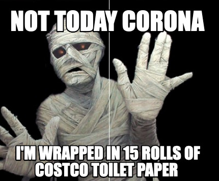 Image result for toilet paper and corona