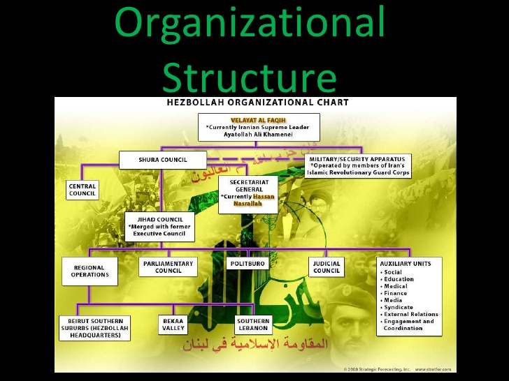 Hezbollah Terrorist Organization