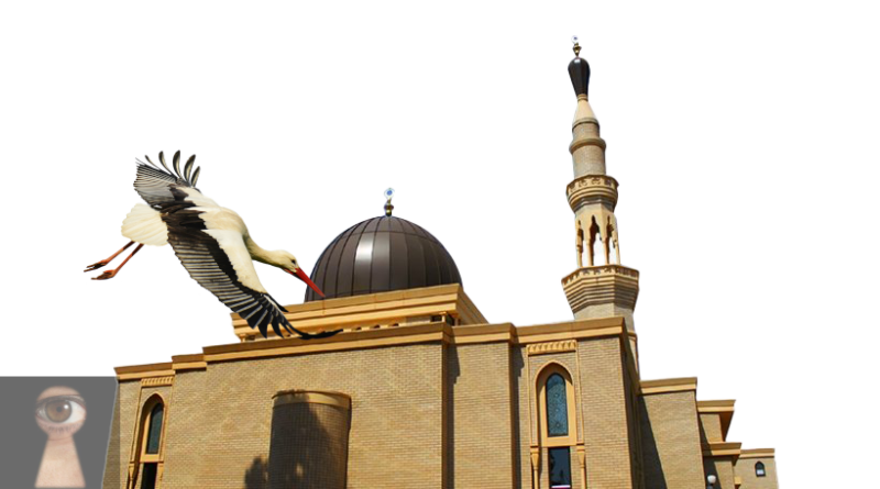 Mosque-and-Stork-WL1