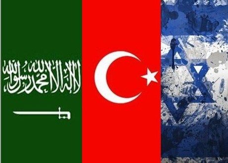 Turkish writer accuses Israel, Saudi Arabia of plotting against Turkey