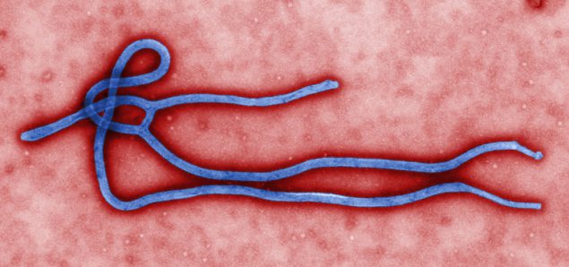 Ebola (Ebola Virus Disease) | CDC