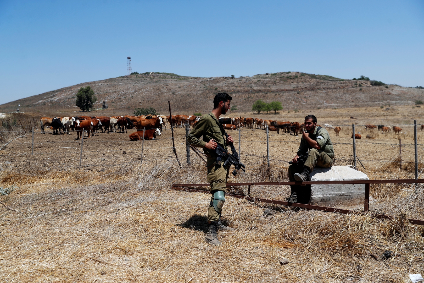 قوات الاحتلال الإسرائيلي تختطف راعي أغنام في قرية بريقة بريف القنيطرة الجنوبي