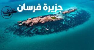 فندق ساسو سويت بجزيرة فرسان - سياحة بالعربي
