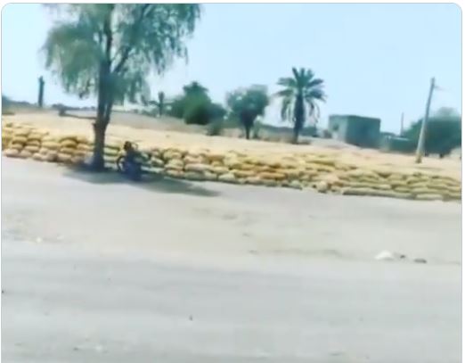 Iran-Farmes-Throw-Potato-Crops-1