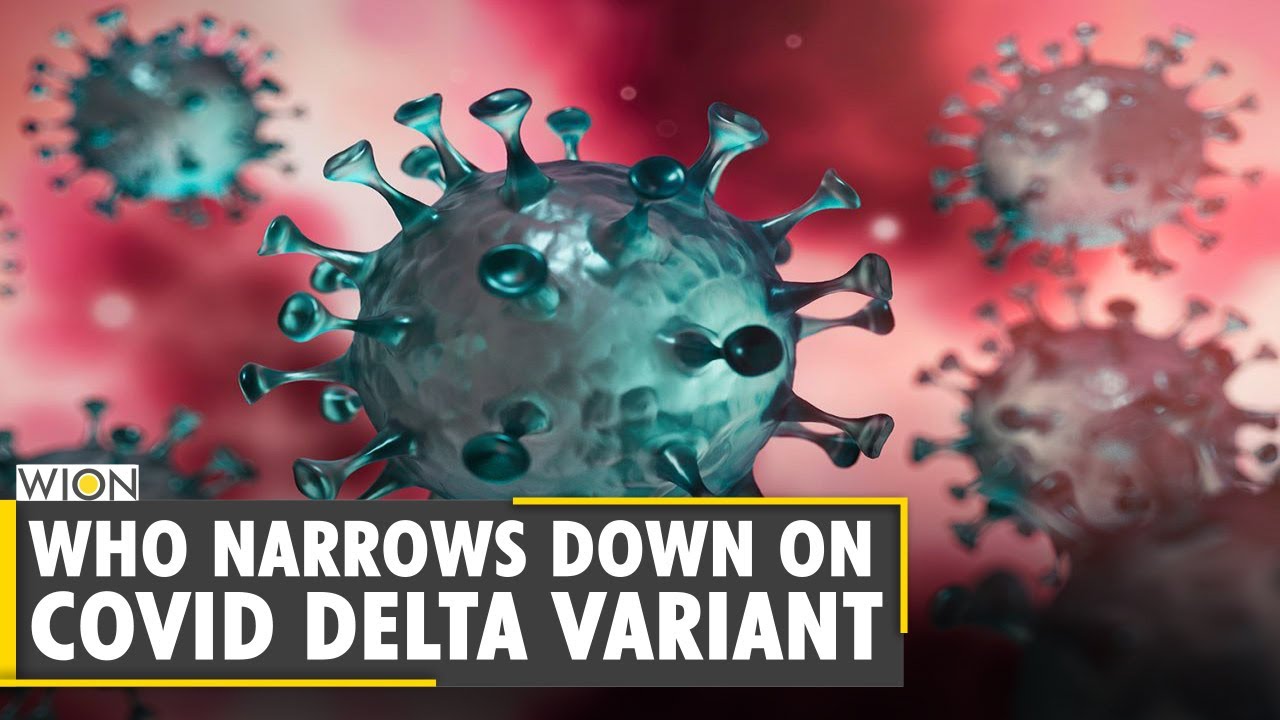WHO says only one strain of Delta variant is now of concern | India  COVID-19 Variant | English News - YouTube