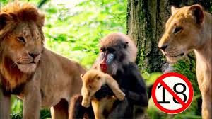 القرد يسرق شبل الاسد | واللبؤة تعاقبه أشد عقاب | ? Why do Baboons Steal Lion  Cubs - YouTube