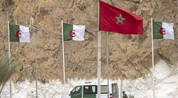 גולמה מרוקו ואלג'יריה על הגבול בין שתי המדינות (ארכיון)