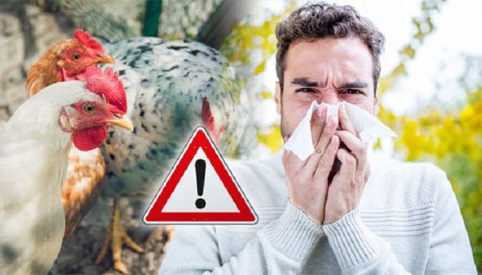 إنفلونزا الطيور.. أسبابها وأعراضها وطرق الوقاية منها