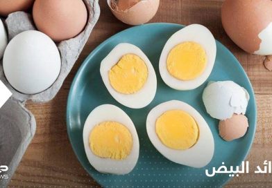 מה שביצים עושות לגופנו אם אנו אוכלים אותן מדי יום