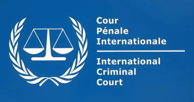 בעיית צווי המעצר של בית הדין הפלילי הבינלאומי. המאמר המלא