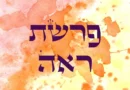 קצרצר לפרשת ראה –  בין התמקדות בעבר להתמקדות בעתיד