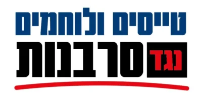 טייס קרב ומפקד טיסת 69 לשעבר: היכן היה חיל האויר ב 7.10 ?