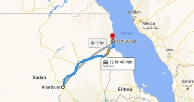 משלחת “טכנית” איראנית בנמל פורט סודאן. מה מאחורי? משלחת “טכנית” איראנית בנמל פורט סודאן. מה מאחורי?