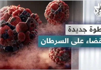 פריצת דרך רפואית: חיידקי מעיים של צפרדעים יפניות השיגו 100% הצלחה בהשמדת גידולים סרטניים במעי הגס