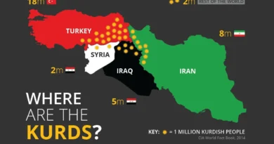 טורקיה והכורדים