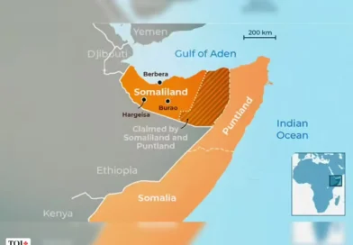 שינויים טקטוניים בים האדום. דעה