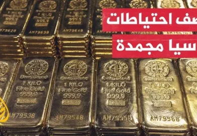 מהם הנכסים המוקפאים של רוסיה באמריקה שפוטין הציע להשתמש בהם בעזה ובאוקראינה?