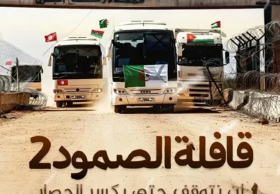 אלג'יריה מתכוננת לשגר צי של 150 ספינות לעבר עזה באפריל ובמקביל שיירת אוטובוסים למעבר רפיח