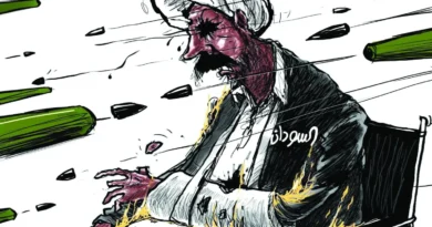 NYT חושף: מצרים תוקפת מורדים בסודן מתוך בסיס בשטחה