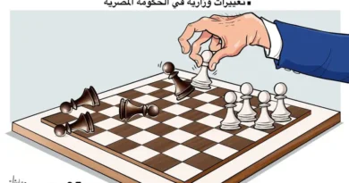 גל הדחות שרים בממשלת מצרים ( כולל שר ההגנה והרמטכ"ל)