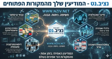 אנליסט מציג: כל מה שרצית לדעת על אתר nziv.net. מידע מפורט וניתוח מקצועי של תהליכים