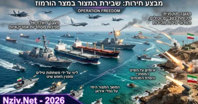 פריצת החסימה האיראנית במצרי הורמוז: ארה"ב העבירה בבטחה 2 ספינות משא