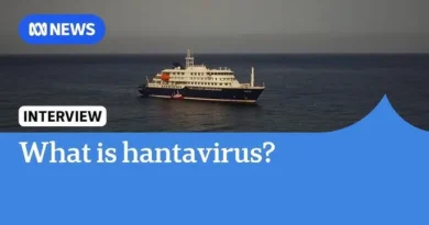 הווירוס Andes hantavirus – מתחילה להיווצר סוג של היסטריה אבל עדיין על אש קטנה