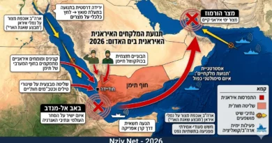 איראן הזרימה כוחות לאזור מיצרי באב אלמנדב לקראת הניסיון לחסימתו יחד עם החות'ים
