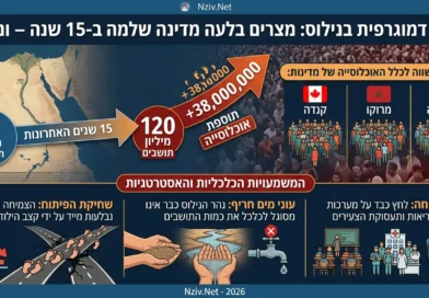 120 מיליון פיות: הפיצוץ הדמוגרפי שמאיים להקריס את מצרים