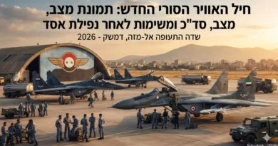 חיל האוויר הסורי החדש: תמונת מצב, סד"כ ומשימות לאחר נפילת אסד