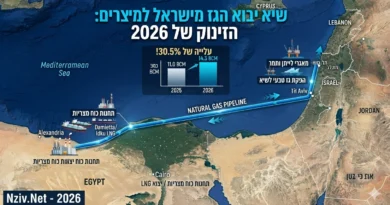 הדבק הגיאופוליטי: המשבר במצרים שמזניק את יצוא הגז הישראלי לשיא