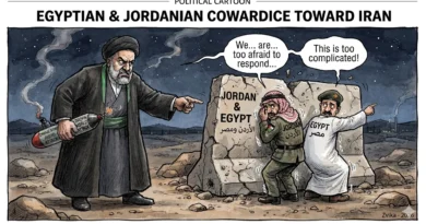 Strategic Cowardice – פחדנות אסטרטגית