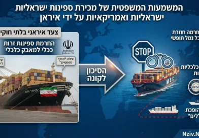 פיראטיות בחסות החוק האיראני: טהראן מוכרת ספינות ישראליות ואמריקאיות שהוחרמו במצר הורמוז