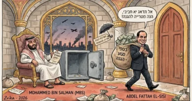 פוליטיקה בריאל