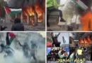 הדגל (הפלסטיני) המקולל – العلم الملعون!